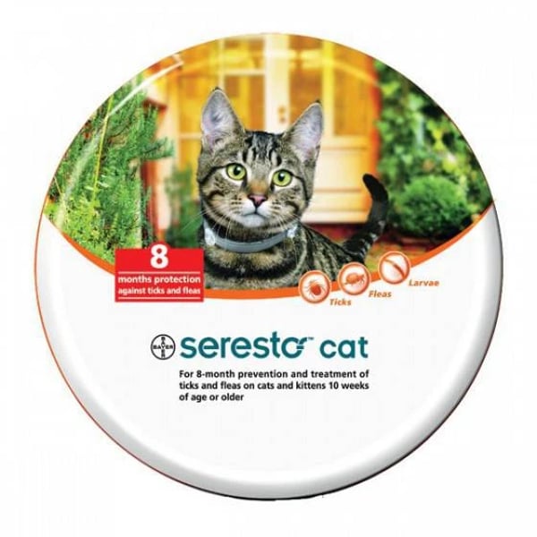 Seresto Coleira 1,25g+0,56g Gato x  coleira