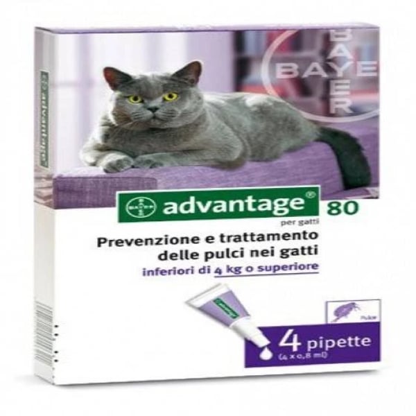 Advantage Gato Sol Uncao 0,8ml X 4 4-8kg x  sol unção punctif